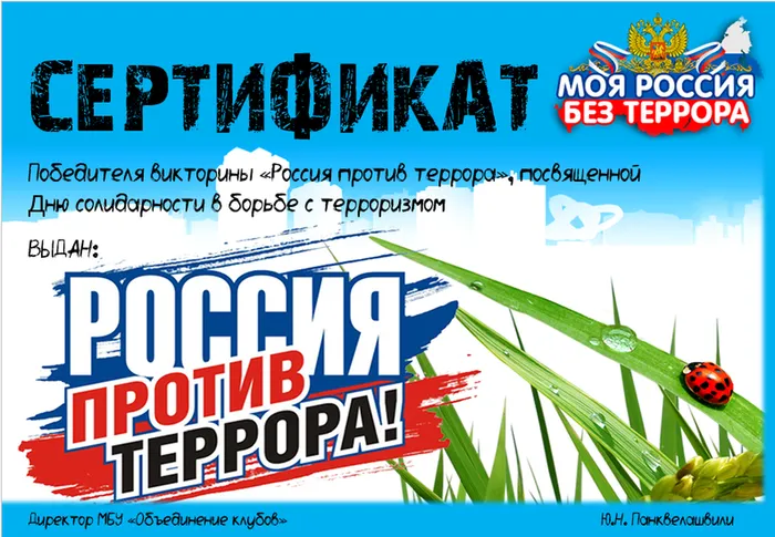 сертификат викторина террор