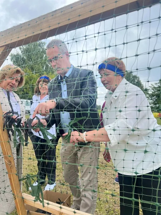 День села Антоново 2025